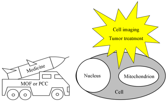 Coordination porous materials targeting subcellular organelles for biological imaging and diagnosis and treatment, Journal of Higher Education Chemistry