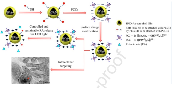Jean-Philippe Pellois,  Superparamagnetic iron oxide–gold nanoparticles conjugated with porous coordination cages: towards controlled drug release for non-invasive neuroregeneration