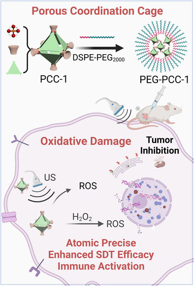 Harnessing Porous Coordination Cages for Sonodynamic Therapy: Enhanced Efficacy Through Atomic Precision and Immune Activation
