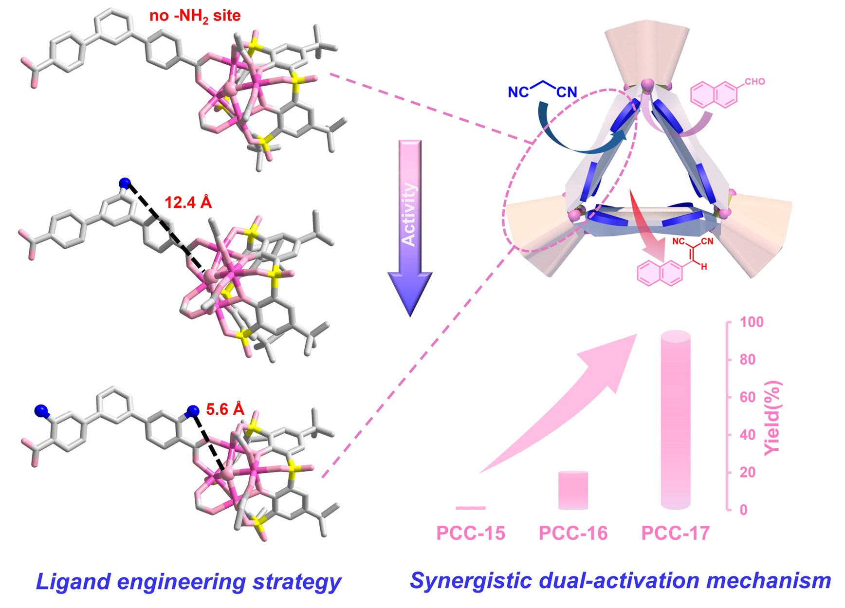 Controllable Modulation of Interactive Site Spacing in Porous Coordination Cages: A Key to Substantial Synergistic Catalysis Enhancement