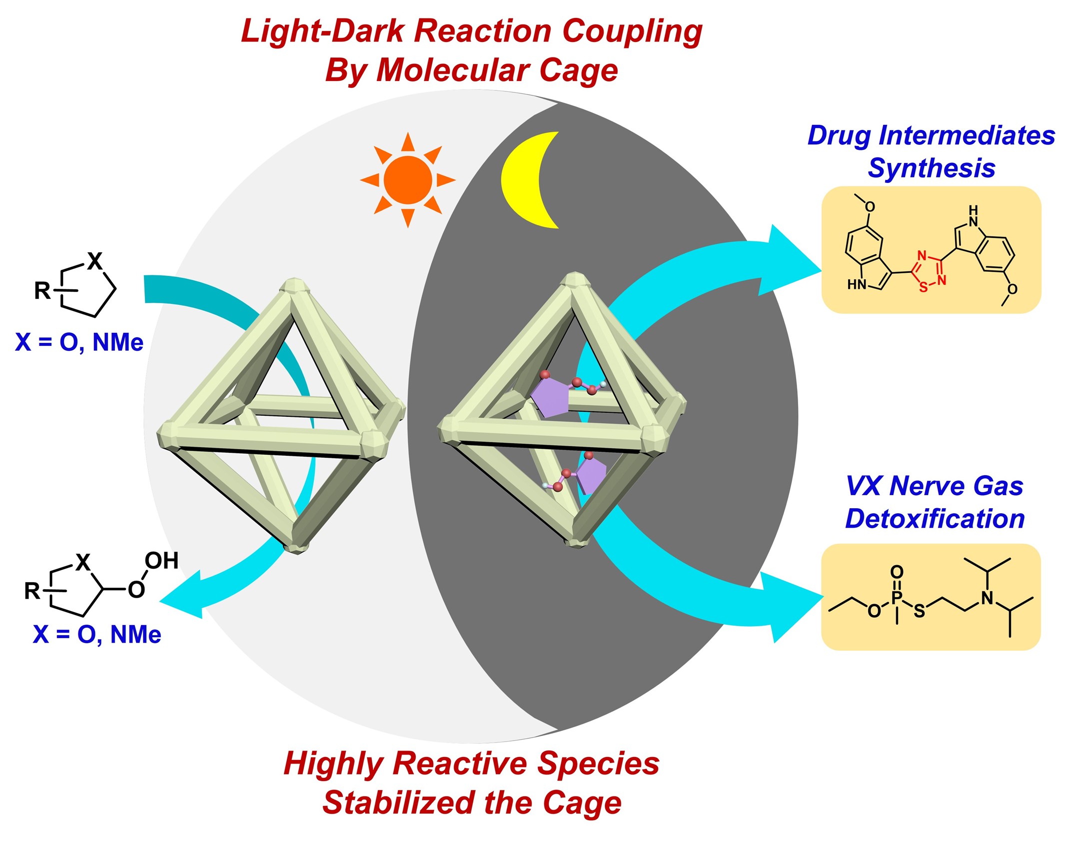 Hydroperoxide-Mediated Photochargeable Molecular Cage for Post-Irradiation Dark Catalysis