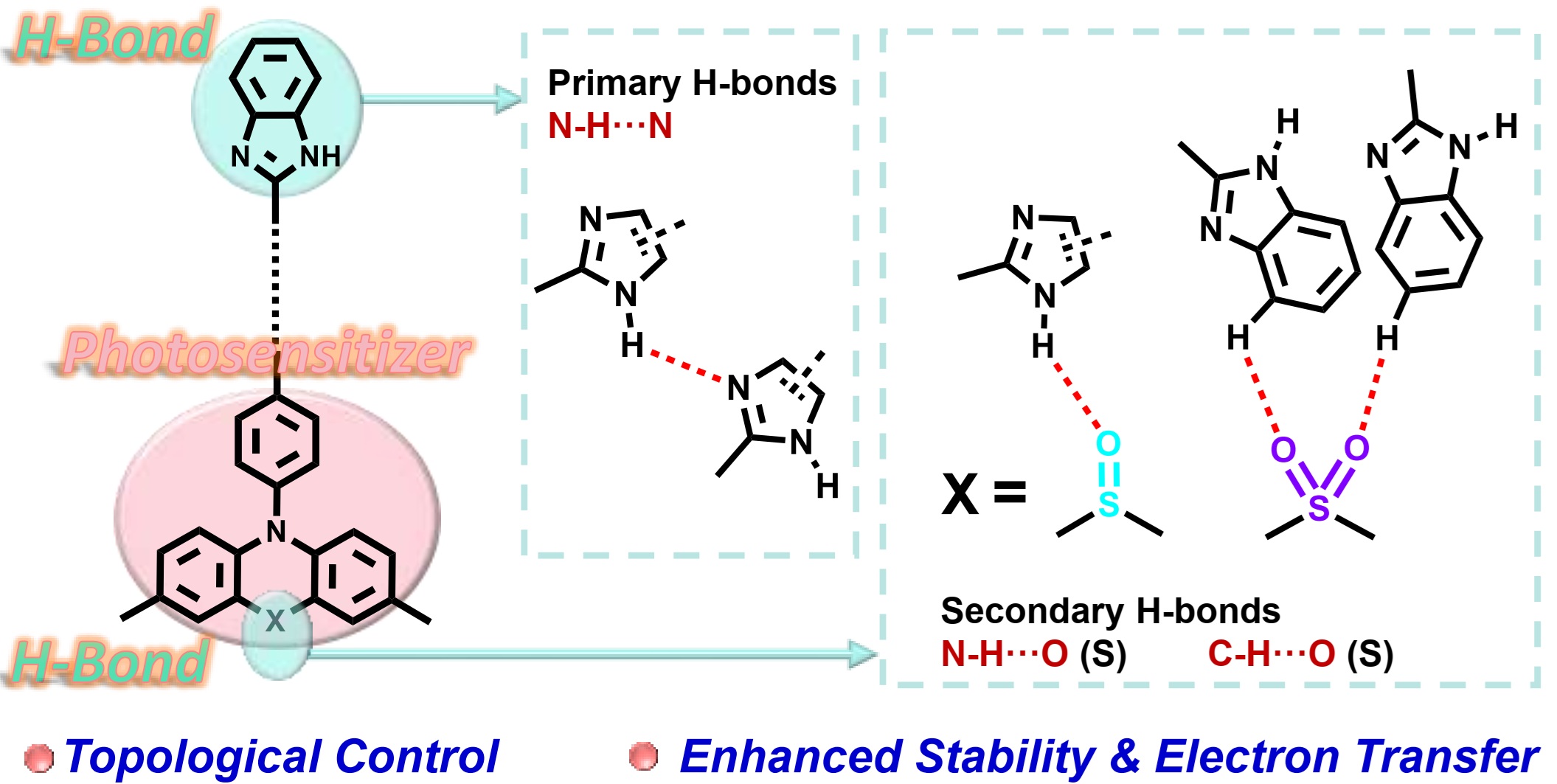 Single-Site Oxidation-Directed Topological Evolution of Hydrogen-Bonded Organic Frameworks for Efficient Photocatalysis